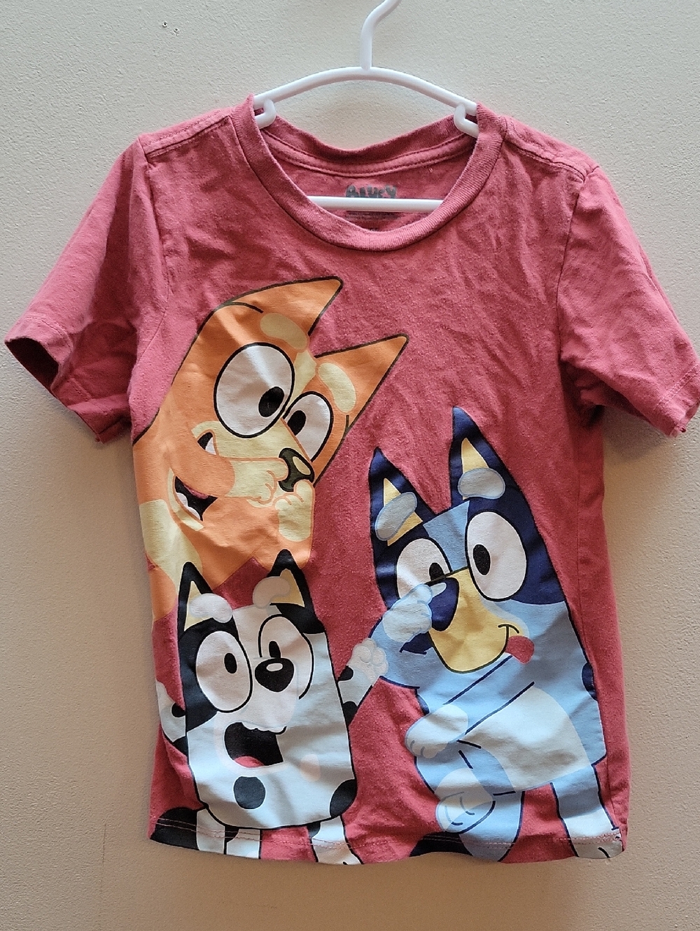 Signature Bluey Family Graphic Short Sleeve Tee